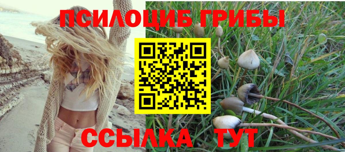 Барнаул  Галлюциногенные грибы мухоморы  Вход с VPN  Галлюциногенные грибы мицелий 