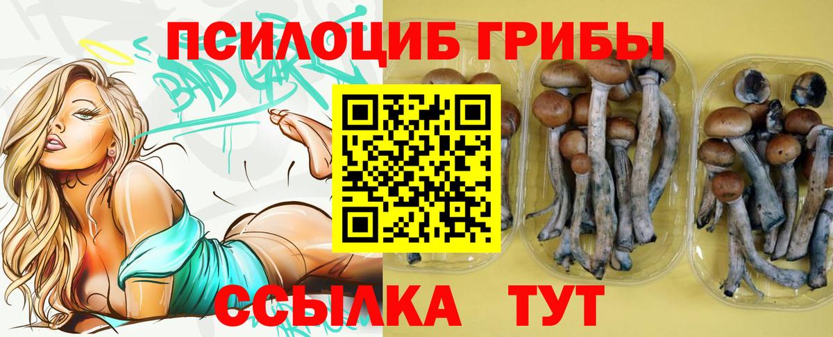 Галлюциногенные грибы GOLDEN TEACHER Барнаул
